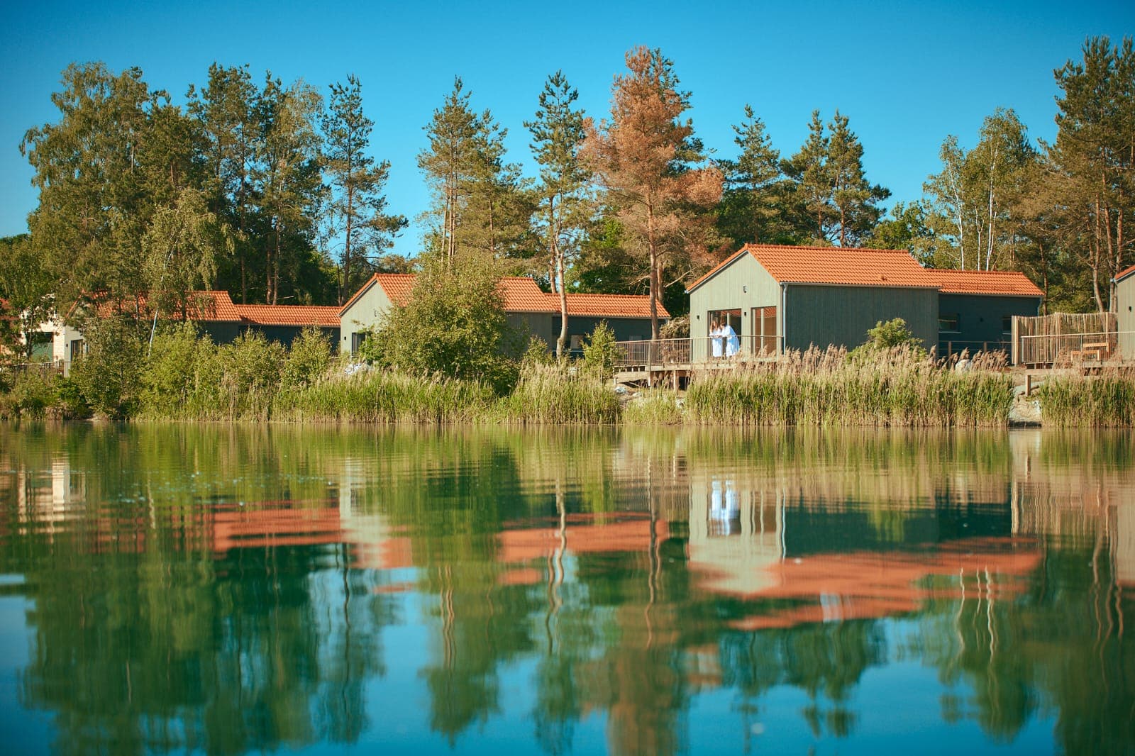 Ayurveda retreat landscape