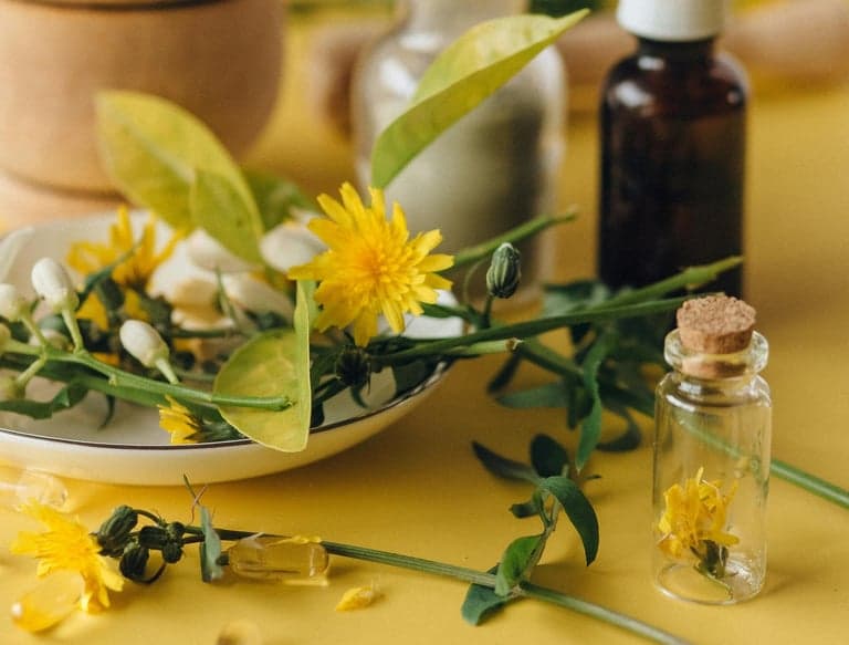 Ayurvedische Öle und Kräuter